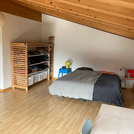 Walk To Wef - Gorgeous Views Over Davos! Homestay